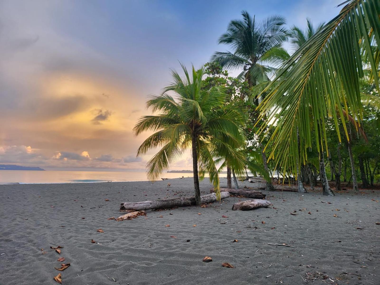 Agua Dulce On The Beach Пуэрто-Хименес Экстерьер фото