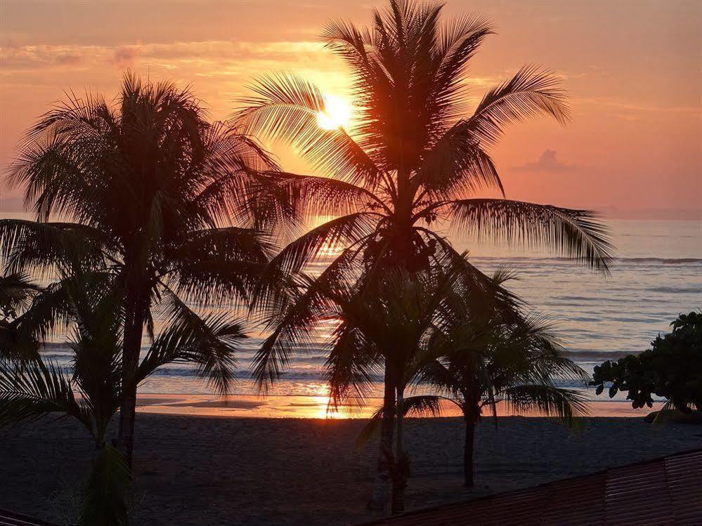 Agua Dulce On The Beach Пуэрто-Хименес Экстерьер фото